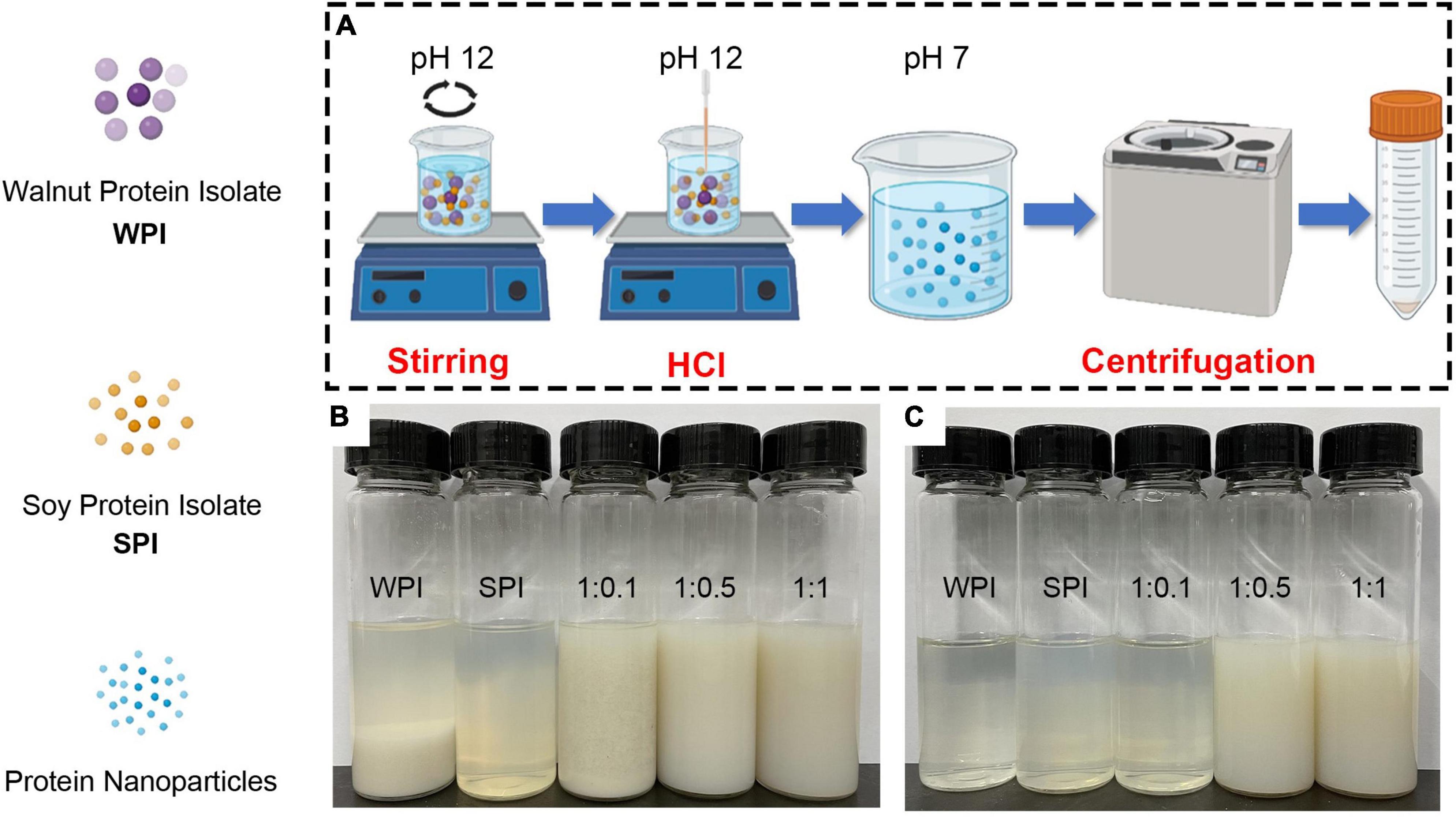 Formation mechanism and functional properties of walnut protein isolate and soy protein isolate nanoparticles using the pH-cycle technology